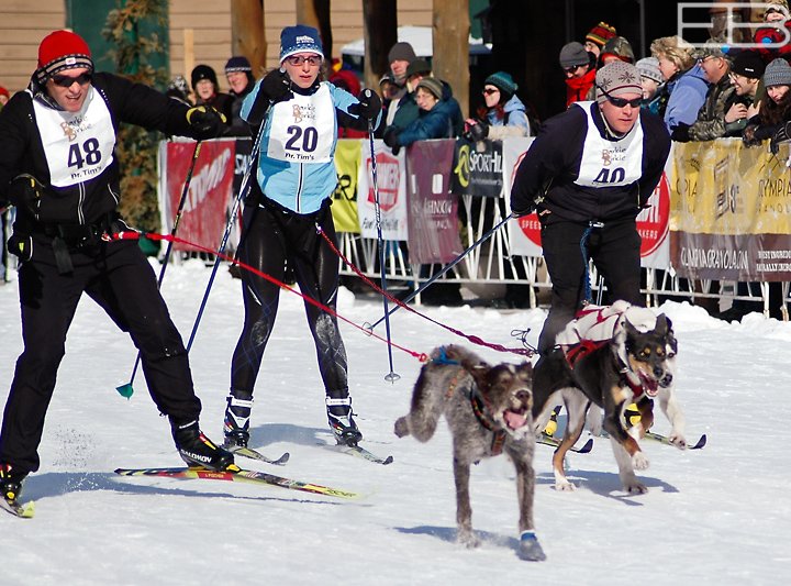 Cross-country canines take their owners for a ride during the Barkie Birkie, one of many events at the American Birkebiener in northwest Wisconsin.